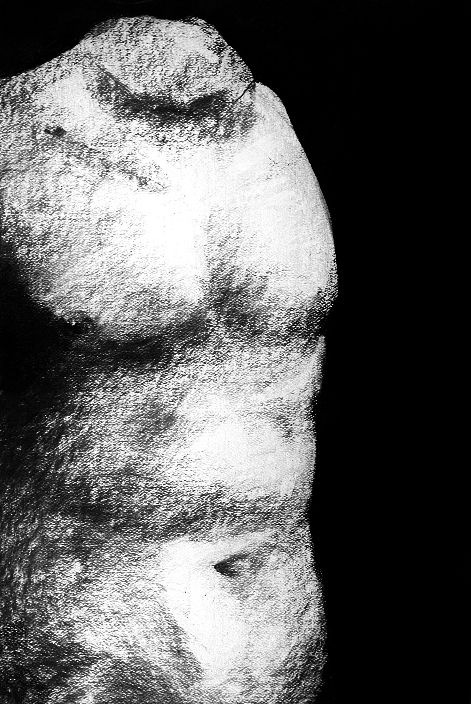 Male Torso